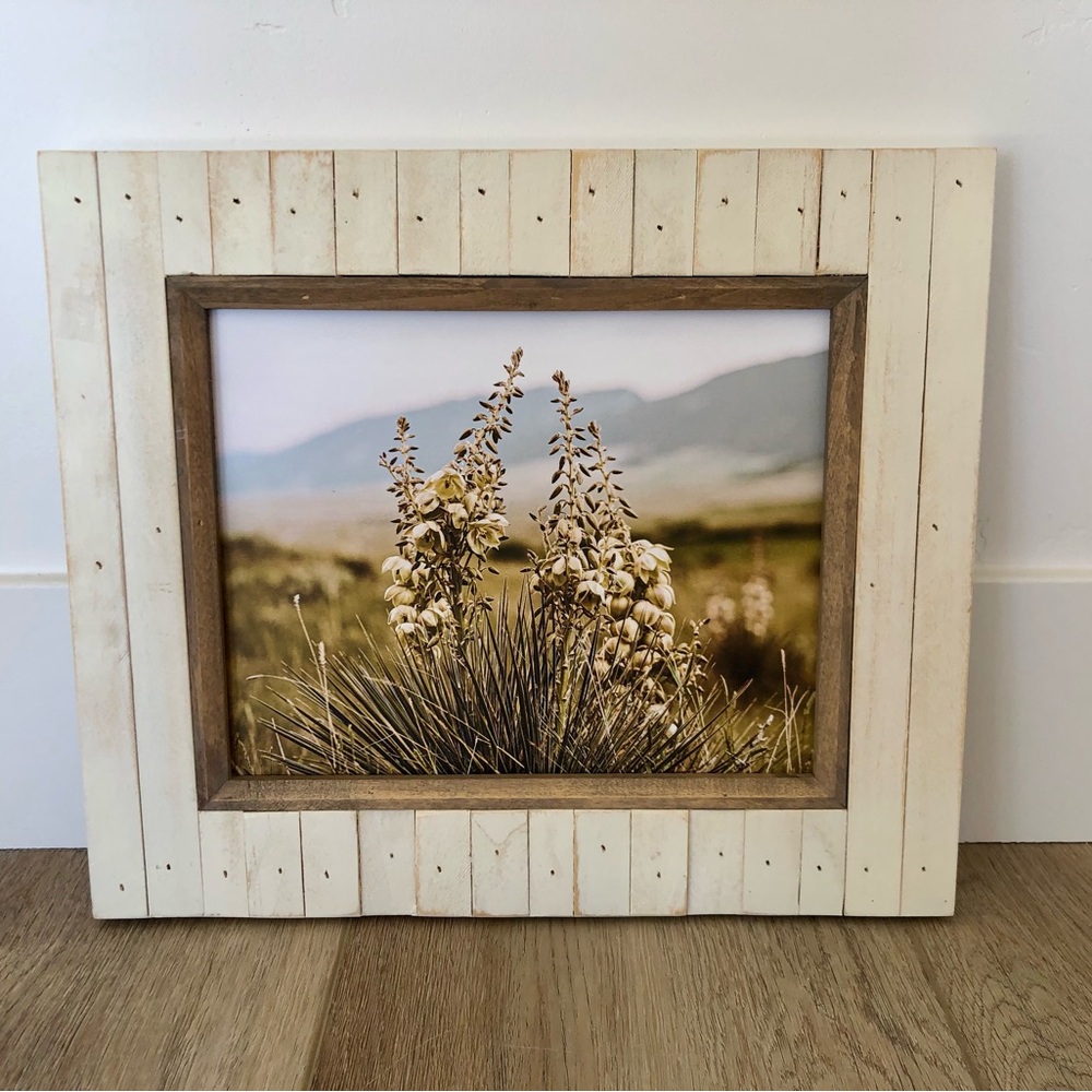 “Bighorn Yucca” 8x10 Framed Print